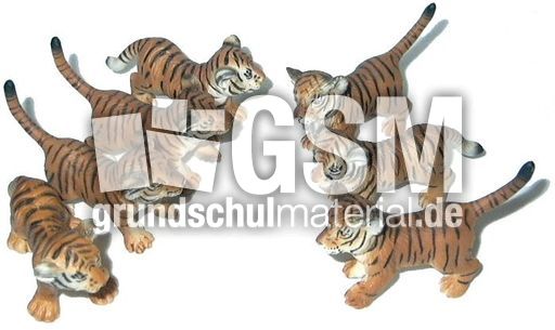 Tiger-4+3.jpg